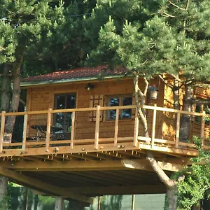 L'etournelle - Perchee Chaussan